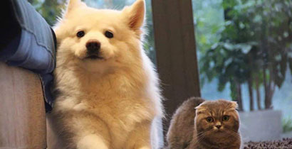 崗位強(qiáng)化